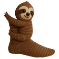 BuyBesner HugHug Socks