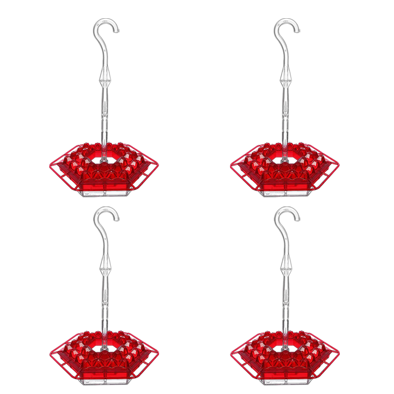 Sweety Hummingbird Feeder